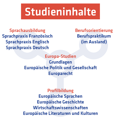 Studieninhalte