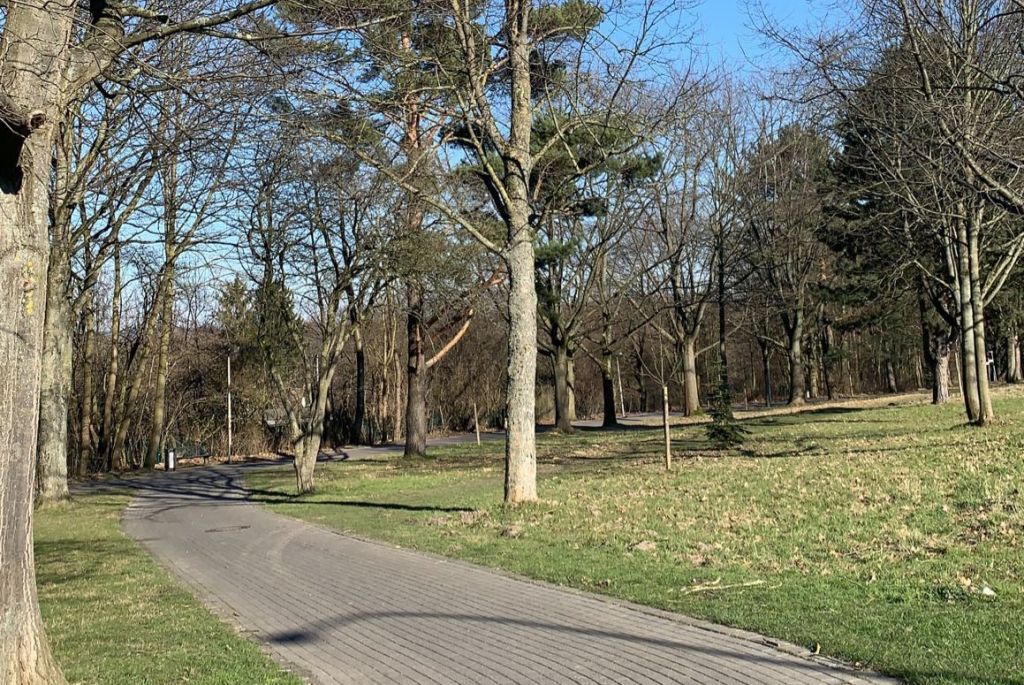 Das kann man an regnerischen Tagen in Paderborn unternehmen: Tipps aus der Redaktion
